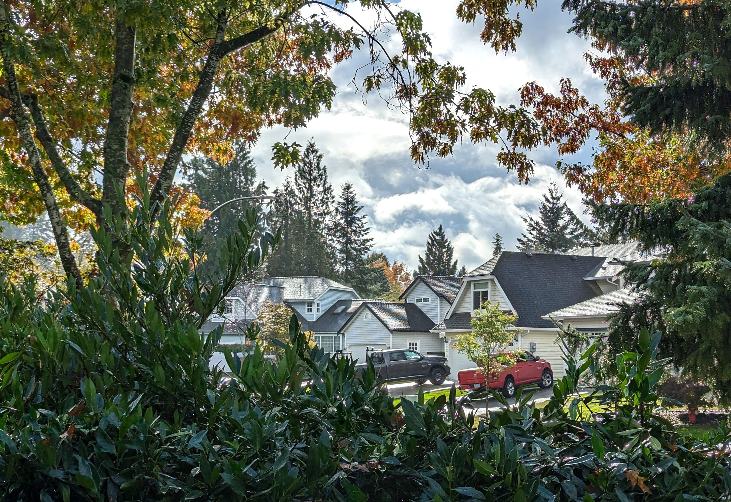 Residential neighborhood with mature trees