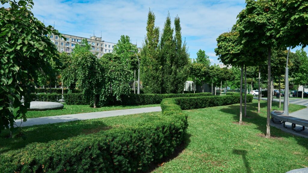 A serene urban park with manicured greenery and a paved path under a clear blue sky, perfect for relaxation and leisure.